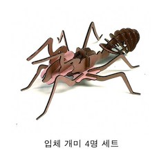 개미와공작