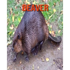 Beaver: Learn About Beaver and Enjoy Colorful Pictures Paperback, Independently Published, English, 9798693960459