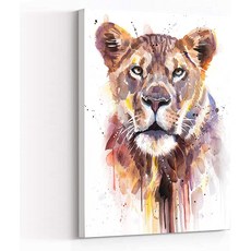 라이오플라이어멜로디