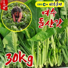 [여수돌산애] 여수 돌산갓 돌산생갓 5kg 10kg 생산자 직송 전라도 갓김치 생갓 청갓 갓장아찌, 30kg, 1개