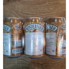 원더팜 타마린드 음료 WONDERFARM (1BOX 24EA) worldfood, 310ml, 24개