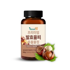 솔라가드프리미엄