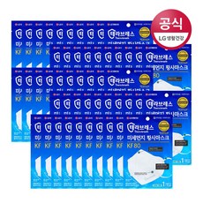 테라브레스 미세먼지 황사마스크 KF80 대형 x50개, 단품