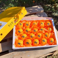 [제주산지직송] 황금향 5kg(14-20수 특대과 선물용) 제철을 맞아 더욱 풍성하고 향긋한 선물세트!, 1개
