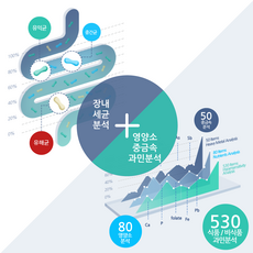 비만균 장내세균검사 영양소/중금속/과민반응, #000000, 1개