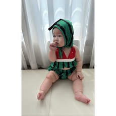 로이앤한나 여아 여자아기 수박 비키니 수영복 세트 3개월 6개월 9개월 돌