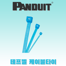 팬듀이트