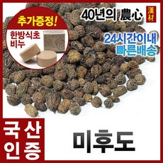 국산 말린 참다래열매 300g 미후도 참다래차 자애인