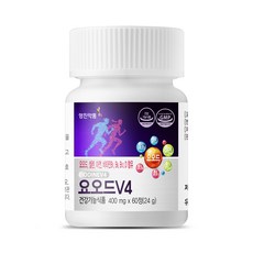 영진약품 요오드V4, 1개, 60정