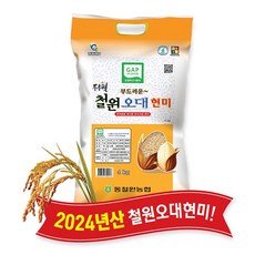 [당일도정] [동철원농협 직접운영] 2024년산 두루웰 철원오대현미 4kg, 1개