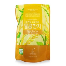 안찬티