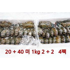 2fe1169be319db6723d74b67b2fe18270907bae4d20ae68c68019742b74c.jpg