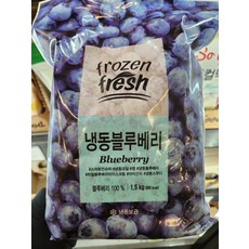 노브랜드 냉동 블루베리 1.5kg frozen fresh 아이스박스+아이스팩 무료, 1개