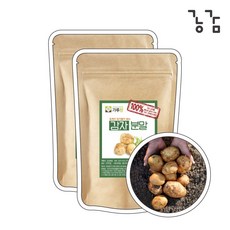 100% 국산 감자 생감자 분말 가루 200g, 2개