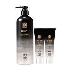 [흑갈색] LG 리엔 물들임 새치커버 샴푸 450ML 1개+ 샴푸 80ML 2개, 단품