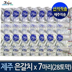 (산지직송) 명품 제주은갈치x7마리 (갈치28토막) 제주갈치, 1박스