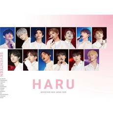세븐틴dvd