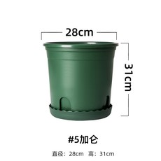 0820197cba4276036bba348ce19390498819e18550b82c38c873293d1876.jpg