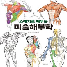 스케치로배우는미술해부학