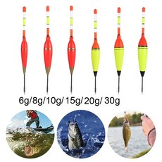 초한치10g