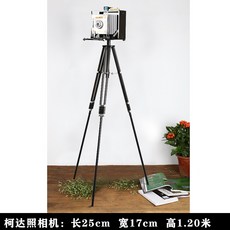 코닥틴케이스