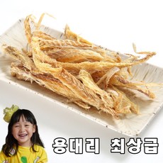 인제액티비티
