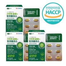 코오롱제약 기억력 혈행 엔 징코플러스 30정 3개 해썹 HACCP 식약처 인증