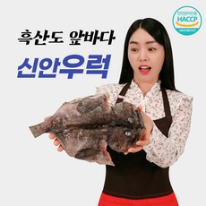 냉동우럭