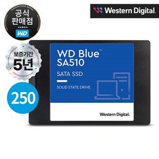 WD Blue SA510 SATA SSD, WDS250G3B0A, 250GB