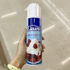 홈플러스휘핑크림