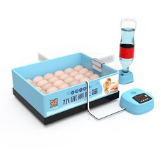 미니메추리종란