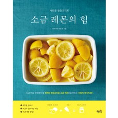 대금레슨