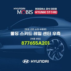 현대모비스 몰딩 스키드 레일 센터 우측 (877655A201)