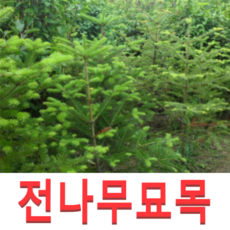 290927cc8ddb9526987402b2a8a7fa9fc9a4aba397c0a5b1fe0f40bee5fb.png