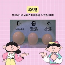 행복한타조농장 신선한 타조알, 1개, 1.25kg