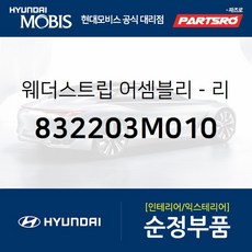 제네시스웨더스트립