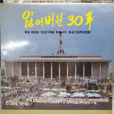 잃어버린30년