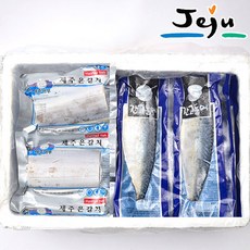 제주 특갈치500g x 2마리+고등어살100g 10팩 국내산, 단품