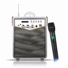 이지넷유비쿼터스 NEXT-BT30 AMP 휴대용 블루투스 노래방 앰프 마이크 앰프/리시버, 상세설명포함