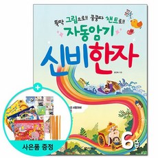 신비한자