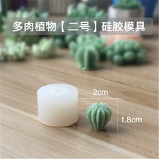 다육공예패키지