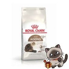 로얄캐닌 캣 에이징 12+ 4kg (2kg 2개) 노령묘 고양이사료, 단품, 단품