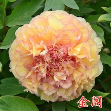 da886ae0f0d9be8efd46e39dae8544f906dc5d10eccb31d5f84e573a67a6.jpg