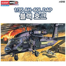 입문용dap