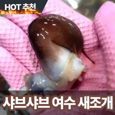 쫄깃한 당일손질 자연산 여수 손질 새조개