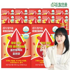 드림이음 혈압 혈당 혈행 콜레스테롤 올인원 케어 포엔큐 코엔자임Q10 바나바잎 은행잎추출물 홍국 12박스, 12개, 60정