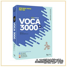 이동기3000