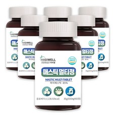 하비웰 매스틱 멀티정 600mg X 60정, 6통