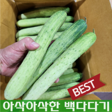 [산지직송] 백 다다기오이 25개(5kg내외)못난이 오이 오이지 피클용 오이지용 장아찌 상주 조선오이 백오이, 25개(5gk 내외), 25개