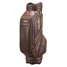 나이키골프팔토시